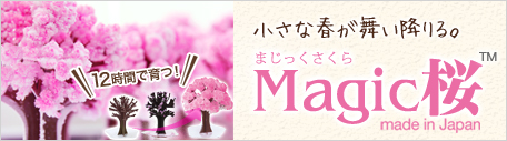 マジック桜