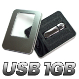 USB 1GB